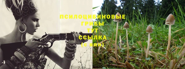 гидропоника Алексин