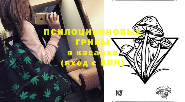 гидропоника Алексин